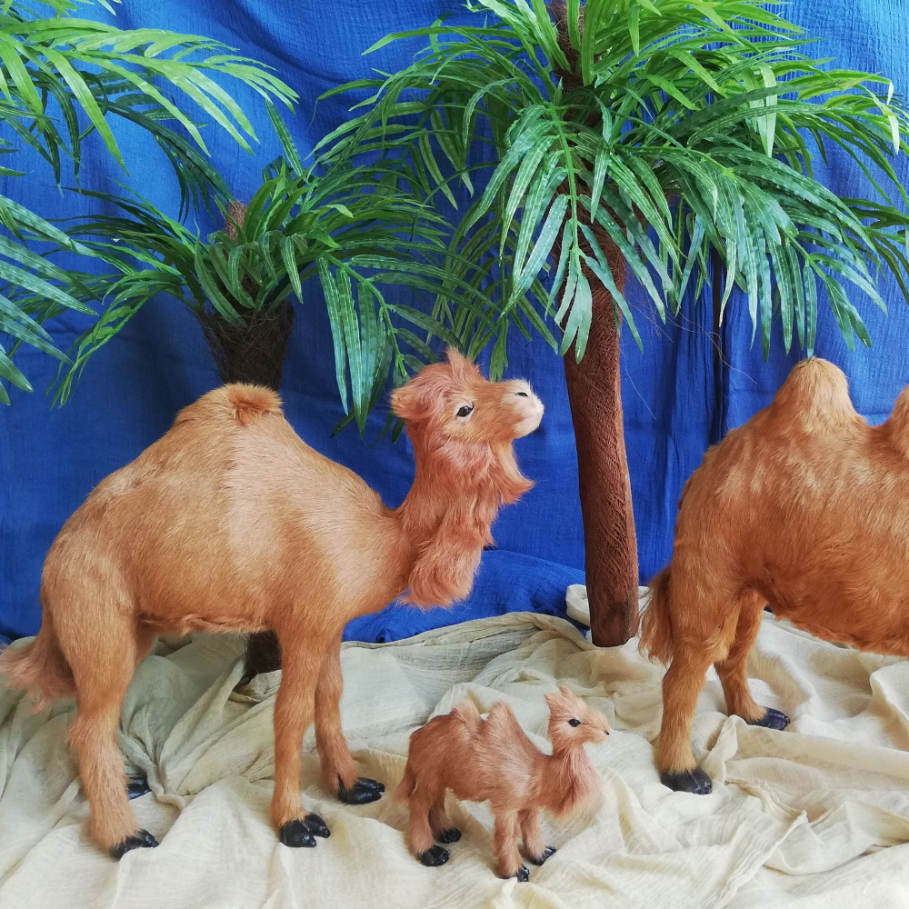 Sand: Gazestoff als Hintergrund   Bodenabdeckung